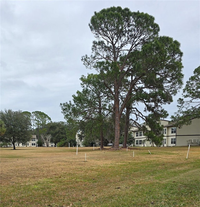 view of community featuring a yard