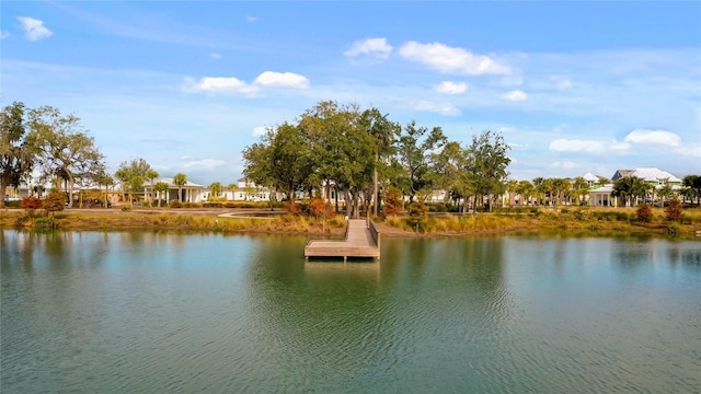 view of water feature with a dock