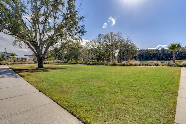 view of community featuring a lawn