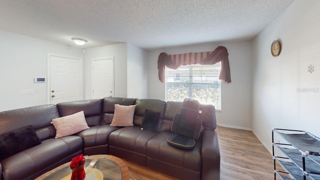 living room with wood finished floors, baseboards, and a textured ceiling