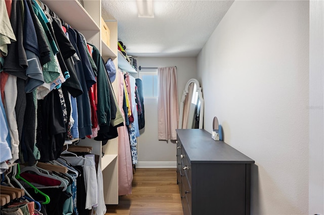 walk in closet with wood finished floors