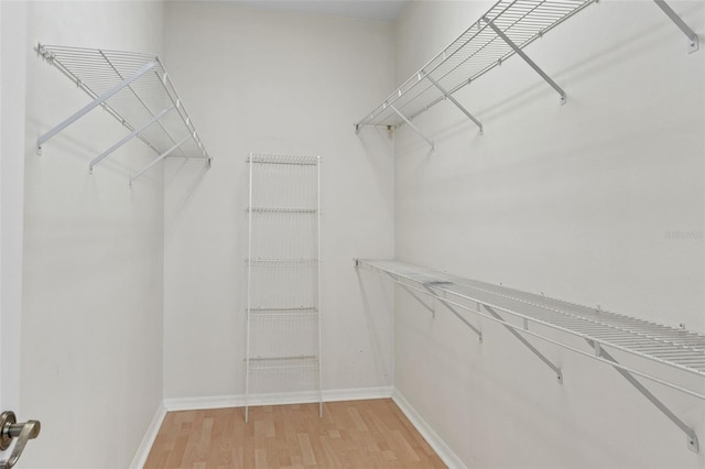 walk in closet featuring light wood-style floors