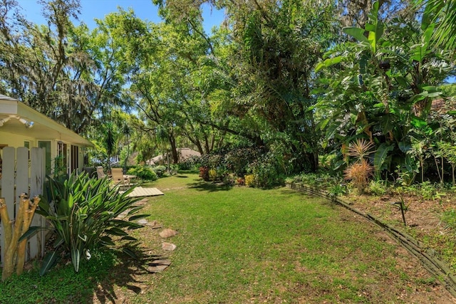 view of yard