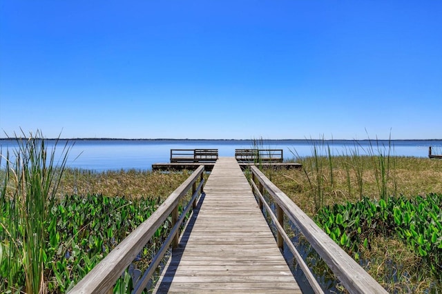 dock area with a water view