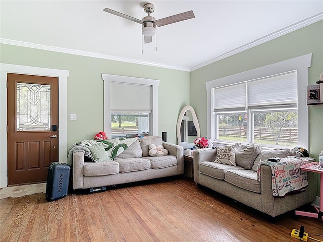 living area with ceiling fan, wood finished floors, and crown molding