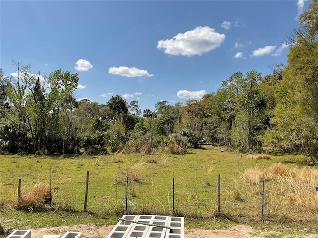 view of yard featuring a wooded view