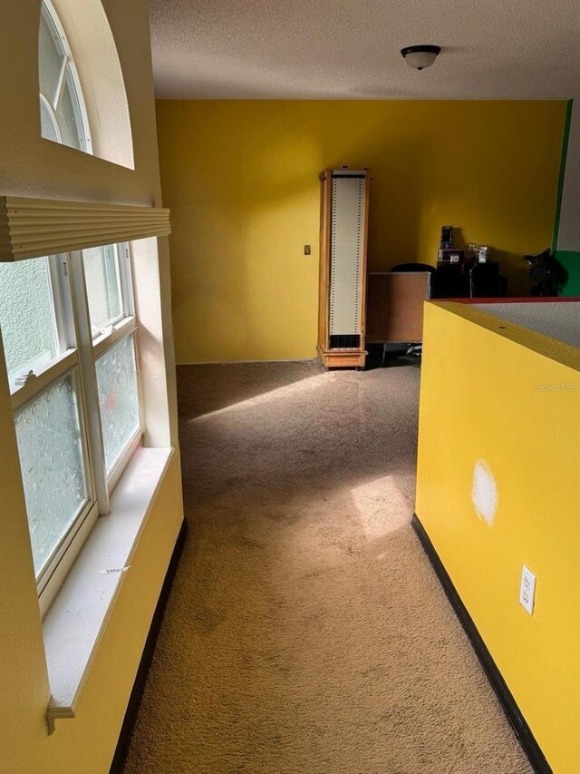 unfurnished room with a textured ceiling and carpet