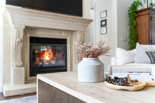 room details featuring a glass covered fireplace