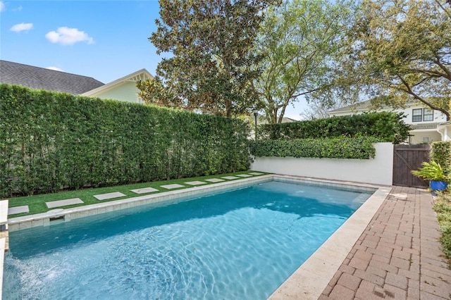 view of swimming pool with a fenced in pool and a fenced backyard