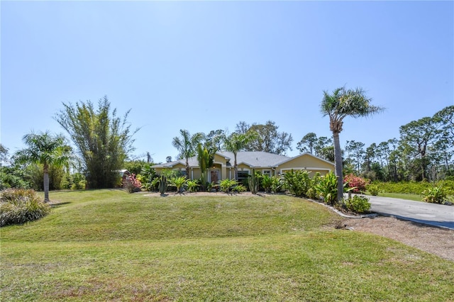 view of yard featuring driveway and an attached garage