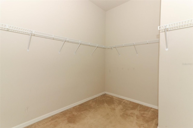 walk in closet with light carpet