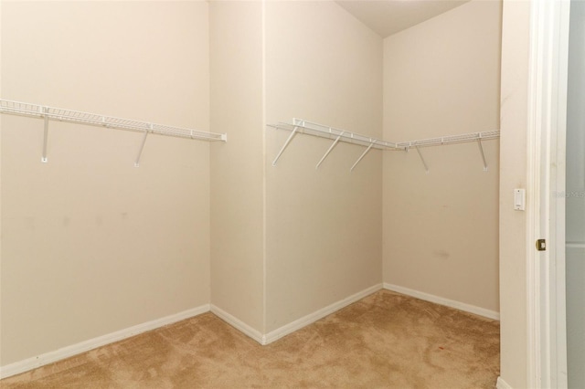 spacious closet featuring light colored carpet