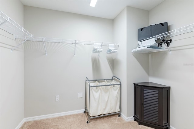 walk in closet featuring carpet floors