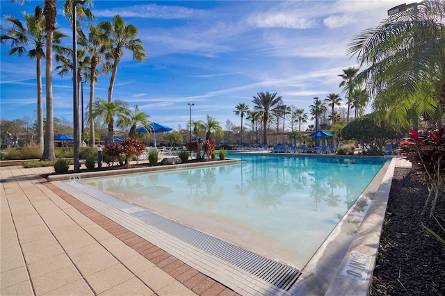 view of community pool