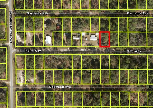 318 Palm Way, Georgetown FL, 32139 land for sale