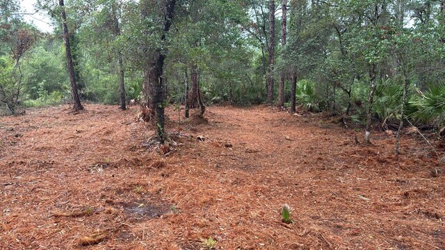 318 Palm Way, Georgetown, FL 32139