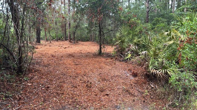 318 Palm Way, Georgetown, FL 32139