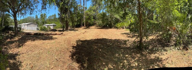 318 Palm Way, Georgetown, FL 32139