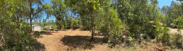 318 Palm Way, Georgetown, FL 32139