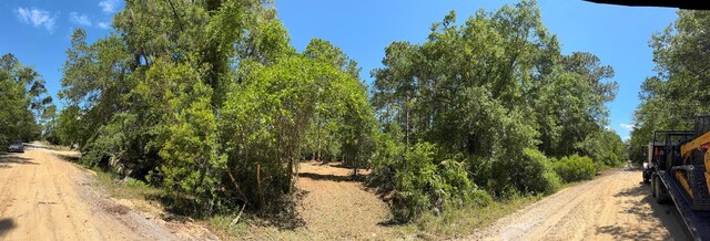 318 Palm Way, Georgetown, FL 32139
