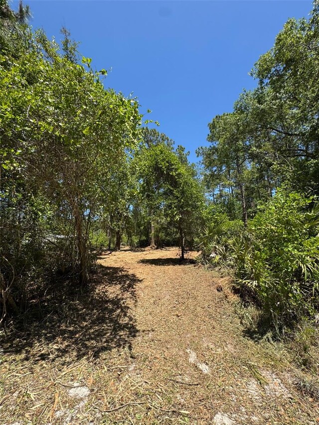 318 Palm Way, Georgetown, FL 32139