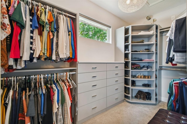 spacious closet with carpet flooring