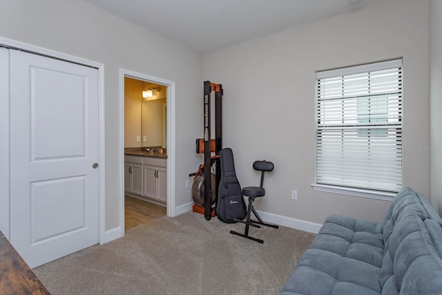 workout room with carpet, baseboards, and a sink