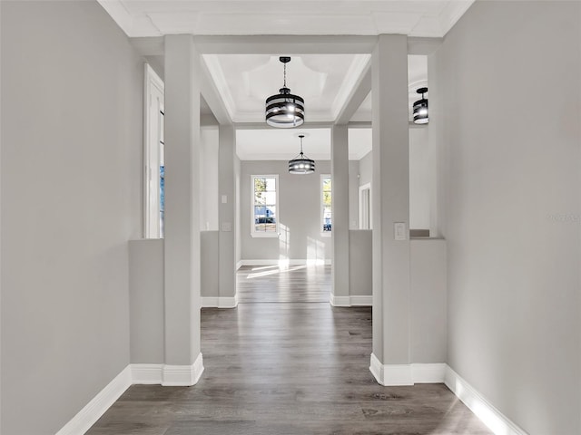 7548 Gathering Dr, Reunion, FL 34747 - hallway with a chandelier, baseboards, wood finished floors, and crown molding