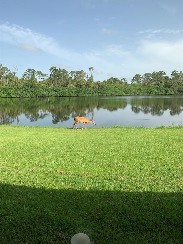 water view