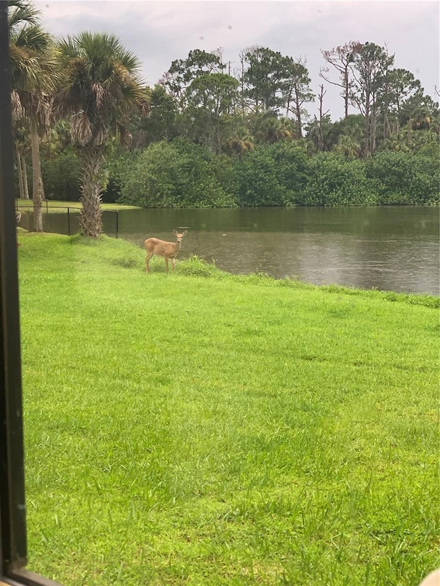 view of yard with a water view