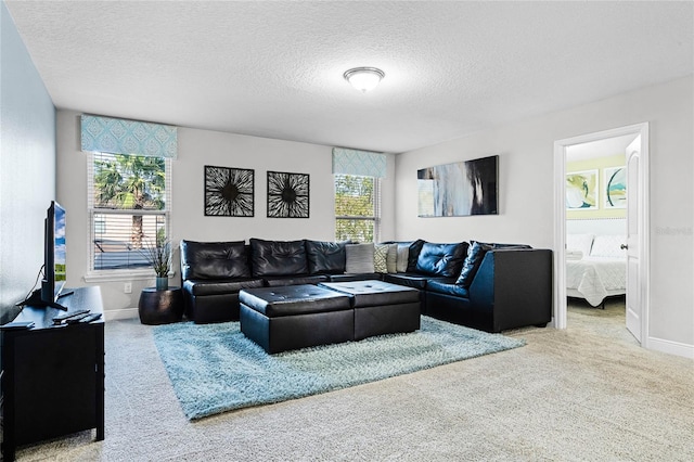 living area with baseboards, a textured ceiling, and carpet flooring