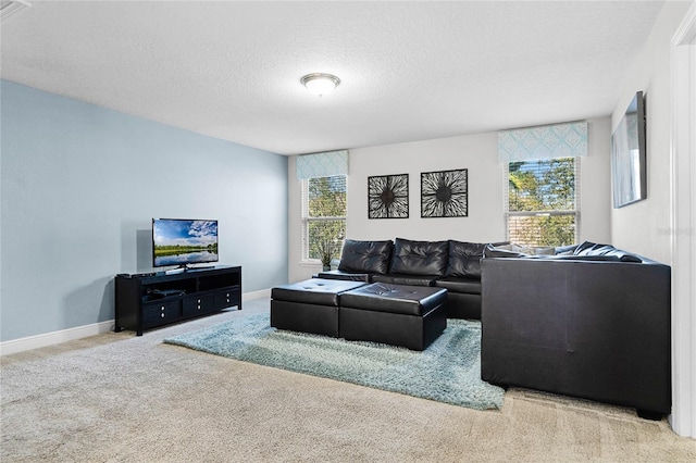 living area featuring a textured ceiling, baseboards, and carpet floors