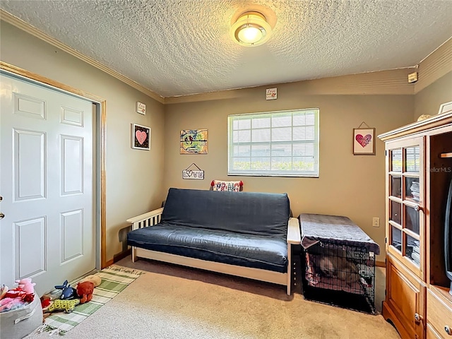 living area featuring carpet floors, a textured ceiling, and crown molding