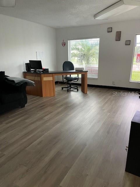 office space featuring wood finished floors and a textured ceiling