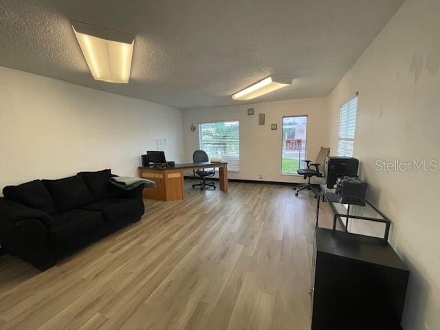 office with light wood-style floors and a textured ceiling