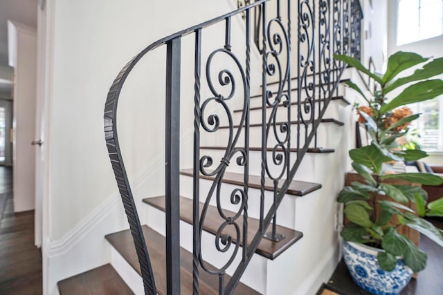 staircase featuring wood finished floors