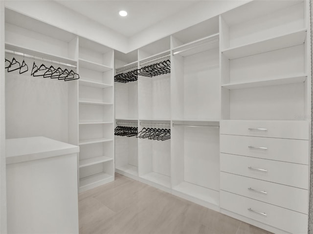 view of spacious closet