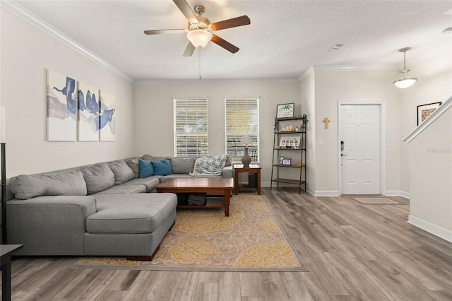 living room featuring baseboards, a textured ceiling, wood finished floors, and ornamental molding