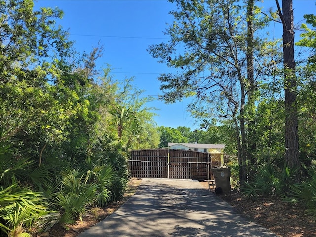 view of street with a gated entry, driveway, and a gate