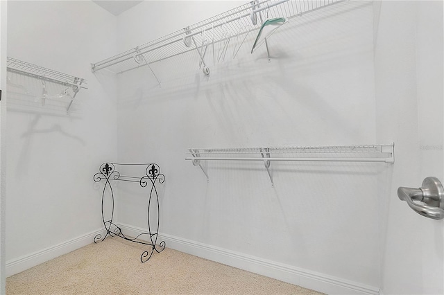 view of walk in closet