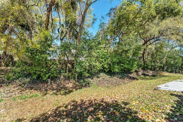 view of yard with a view of trees