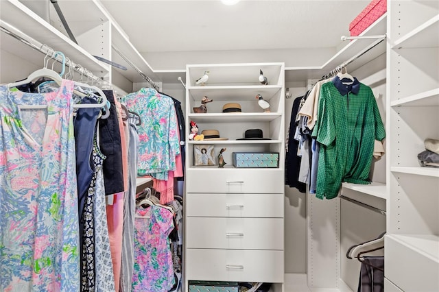 view of walk in closet