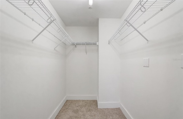 spacious closet featuring light colored carpet