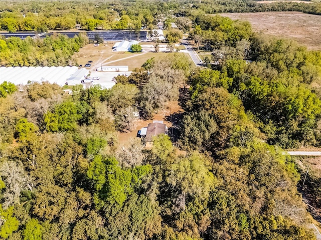 aerial view with a view of trees