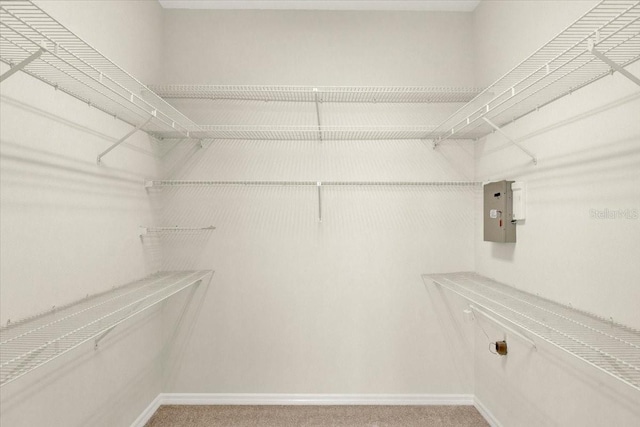 spacious closet with light colored carpet