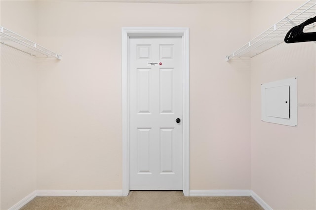 walk in closet with electric panel and light colored carpet