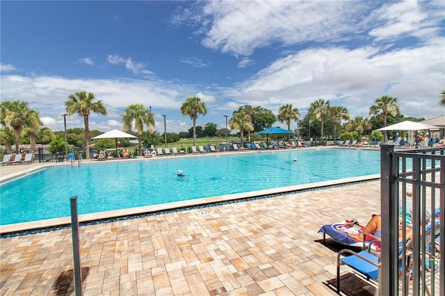 pool featuring a patio area and fence