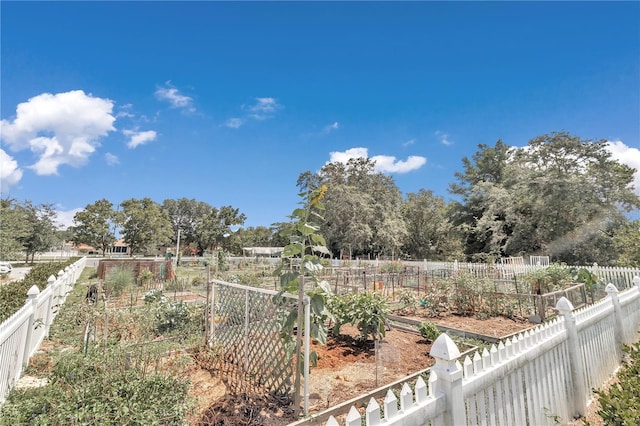 view of yard with a vegetable garden and fence