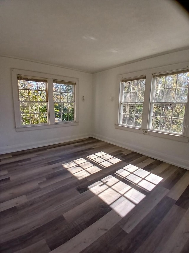 unfurnished room featuring baseboards, plenty of natural light, and wood finished floors