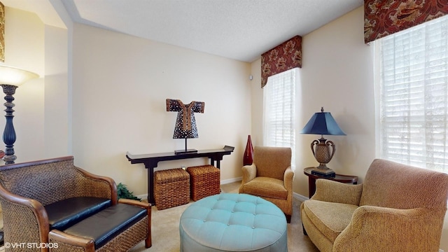 sitting room with a textured ceiling, baseboards, and carpet floors